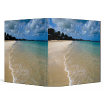 Caribbean, Leeward Islands, Antigua, Dickenson Binders