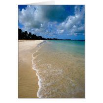 Caribbean, Leeward Islands, Antigua, Dickenson Greeting Cards