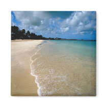 Caribbean, Leeward Islands, Antigua, Dickenson Refrigerator Magnets