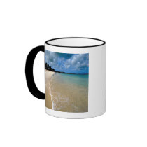 Caribbean, Leeward Islands, Antigua, Dickenson Coffee Mugs