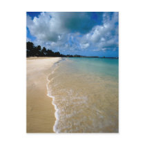 Caribbean, Leeward Islands, Antigua, Dickenson Post Card