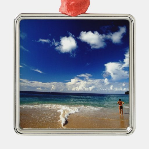 Caribbean, Lesser Antilles, West Indies, 2 Christmas Ornaments