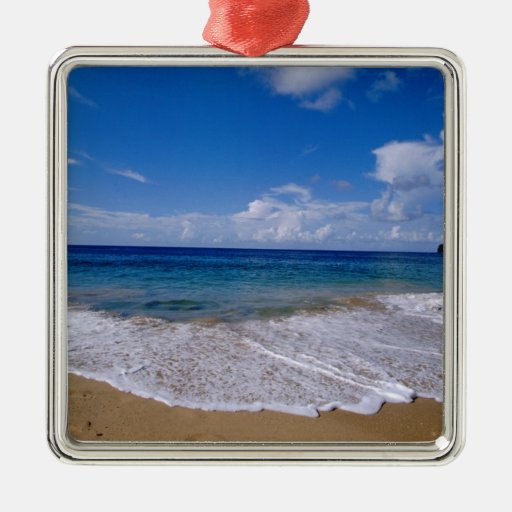 Caribbean, Lesser Antilles, West Indies, 4 Christmas Tree Ornament