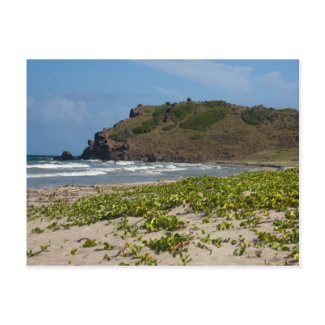 Caribbean lsland Deserted Beach Scene postcard