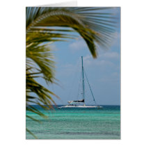 Caribbean Note Card cards