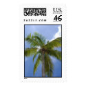 Caribbean palm tree postage