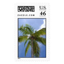 Caribbean palm tree postage