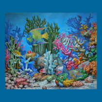 Caribbean Reef Print posters