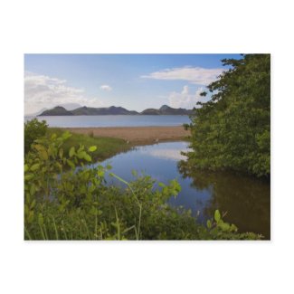 Caribbean Scenery Wetlands and Beach postcard