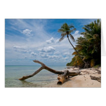 Caribbean Shoreline Note Card cards