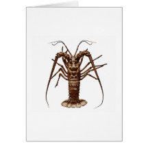 Caribbean Spiny Lobster Greeting Card