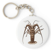Caribbean Spiny Lobster keychains