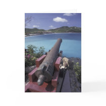 CARIBBEAN, St. Barts, Connon aiming into Bay of