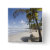 attraction, sand, coast, tropic, trinidad,