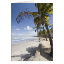 Caribbean - Trinidad - Manzanilla Beach on Cards