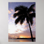 Caribbean, U.S. Virgin Islands, St.Thomas, 3 Poster