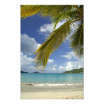 Caribbean, U.S. Virgin Islands, St.Thomas, 4