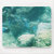 caribbean, under, water, vacation, island,