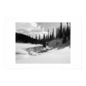 Cariboos: Peaceful Brook posters