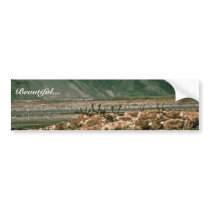 Caribou , Arctic National Wildlife Refuge bumper stickers