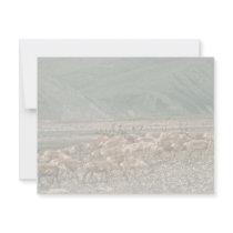 Caribou , Arctic National Wildlife Refuge invitations