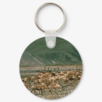 Caribou , Arctic National Wildlife Refuge keychains