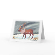 Caribou card