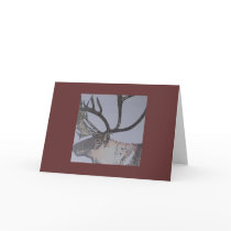 caribou cards by artbynina caribou cards