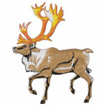 Caribou