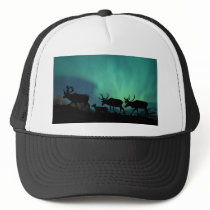 Caribou hats