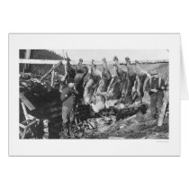 Caribou Hunters Alaska 1928 cards by lc_alaska Caribou Hunters Alaska 1928 cards