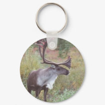 Caribou in Alaska keychains