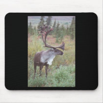 Caribou in Alaska mousepads