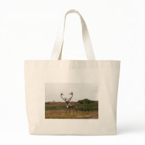 Caribou In Denali bags
