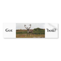 Caribou In Denali bumper stickers
