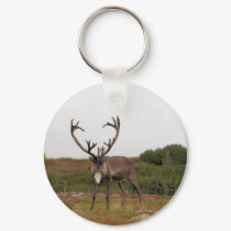 Caribou In Denali keychains