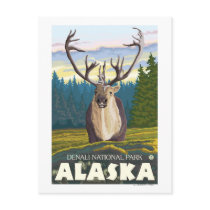 Caribou in the Wild - Denali National Park, Postcard