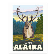 Caribou in the Wild - Katmai, Alaska Post Card