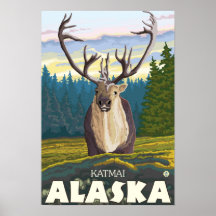 Caribou in the Wild - Katmai, Alaska Posters