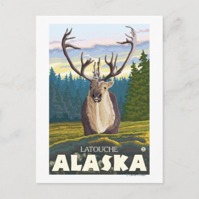Caribou in the Wild - Latouche, Alaska Postcards