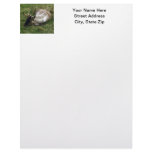 Caribou Custom Letterhead