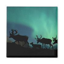 Caribou Fridge Magnet