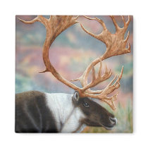 Caribou magnets