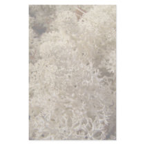 Caribou Moss Custom Stationery