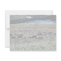 Caribou on Brooks Range, Arctic National Wildlife invitations