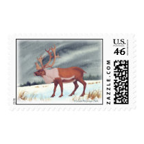 Caribou postage