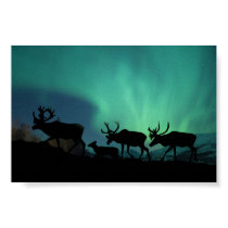 Caribou posters