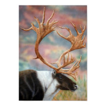Caribou posters