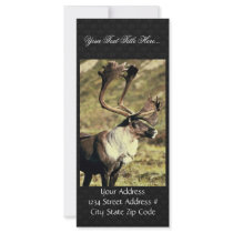 Caribou Rack Card Template