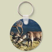 Caribou / Reindeer lover